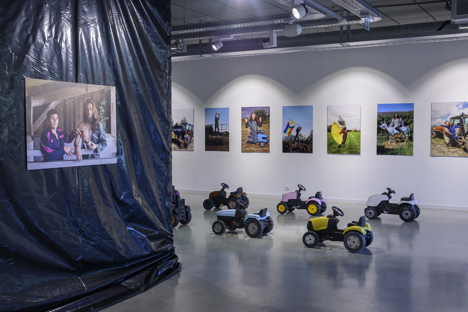 Des paillettes dans le fumier 1