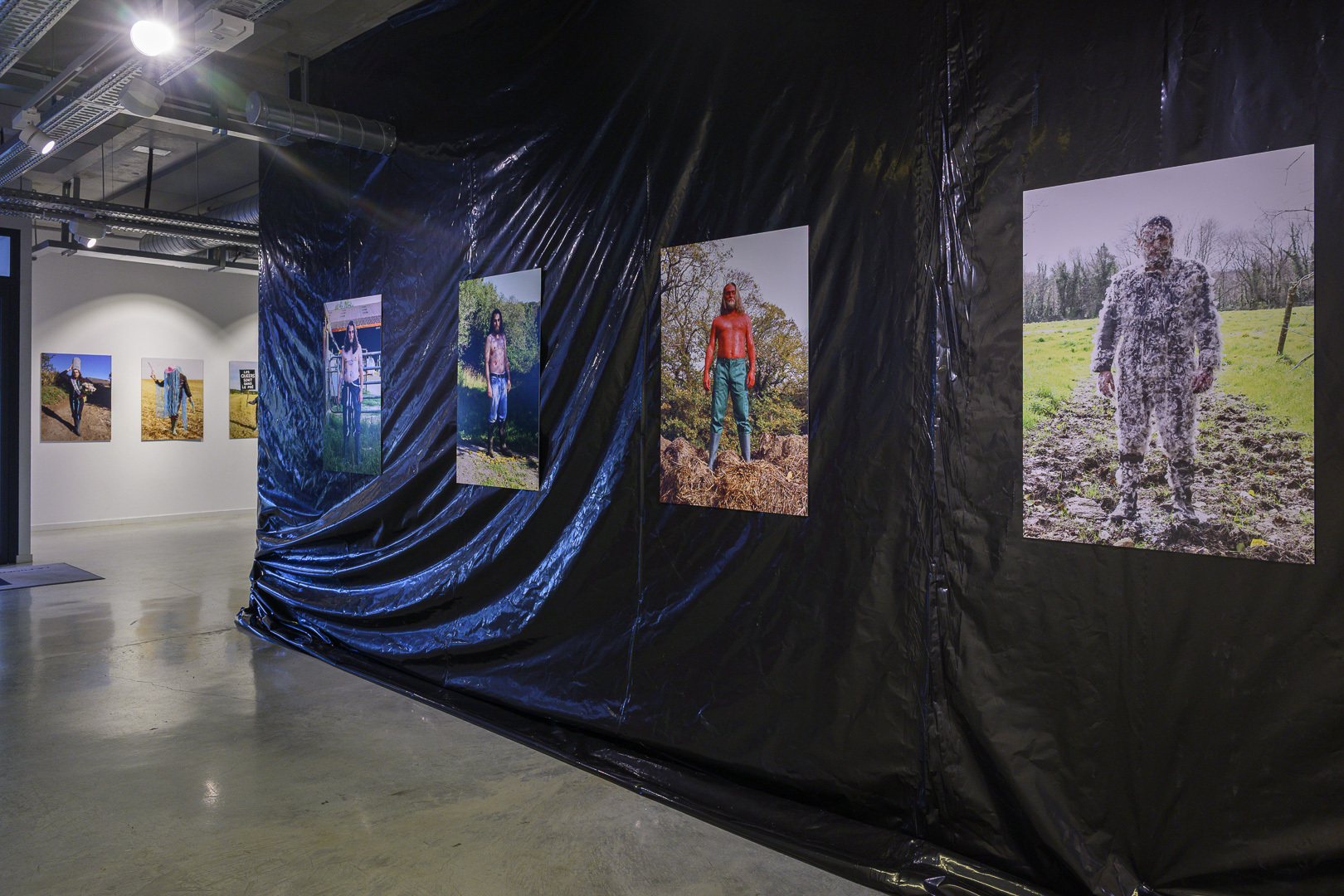 Des paillettes dans le fumier 2