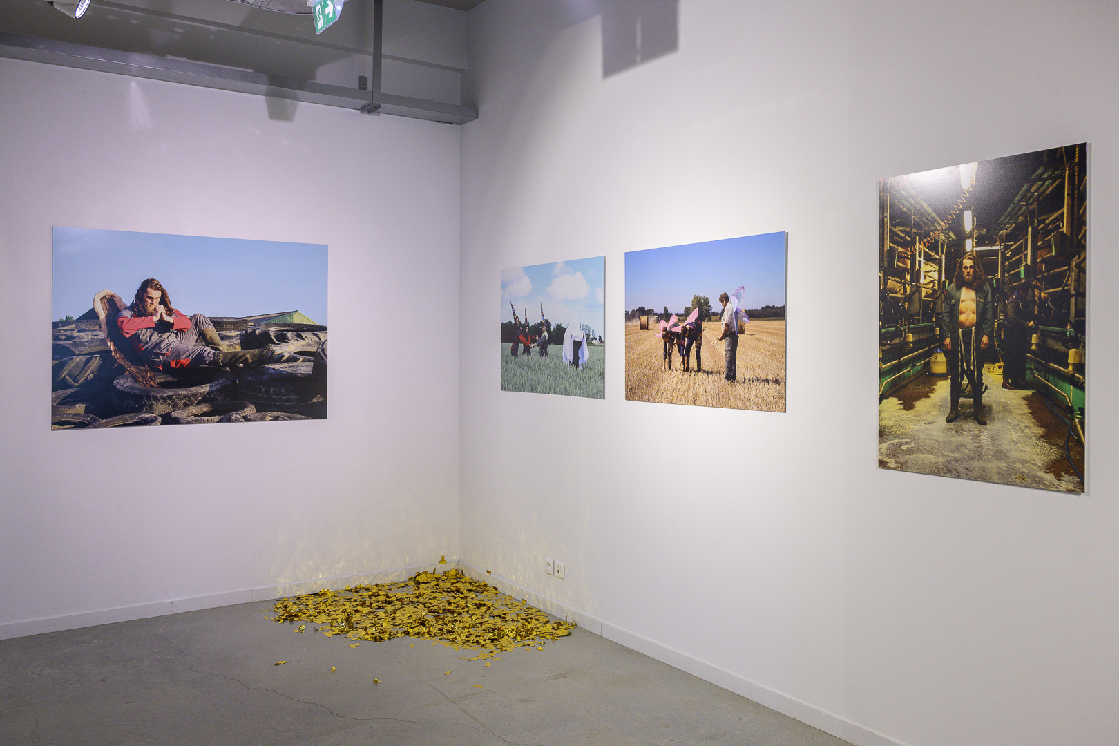 Des paillettes dans le fumier 3