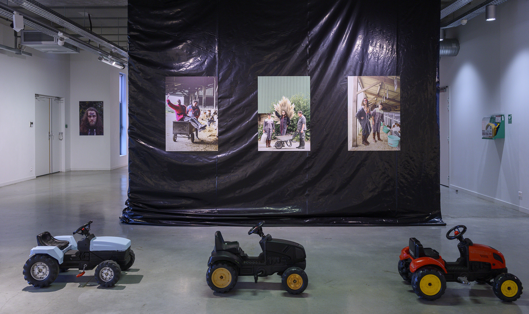 Des paillettes dans le fumier