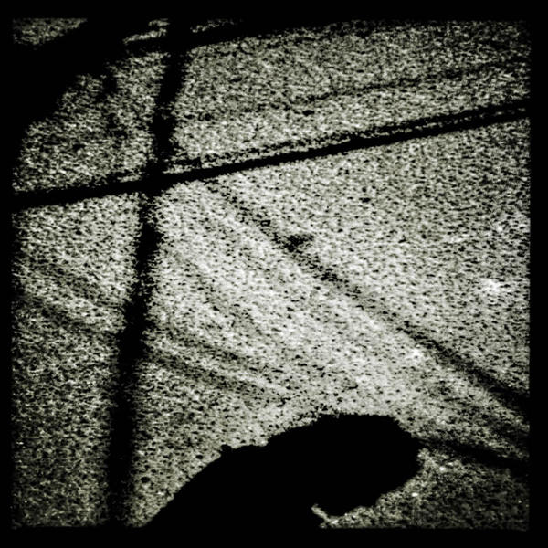 My Own Private Ground Zero - photo 5